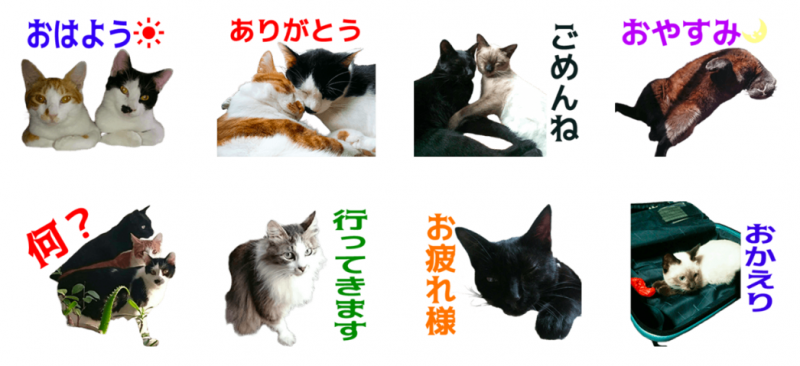 岩井家の猫たちのオリジナルLINEスタンプ制作